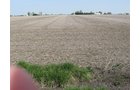 Property photo 1 - 172 Acres Offered in 3 Tracts - Prime Farmland